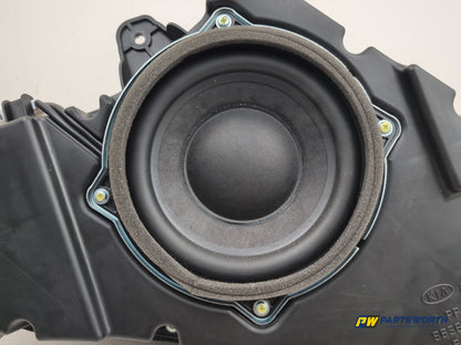 Speaker Amplifier 5