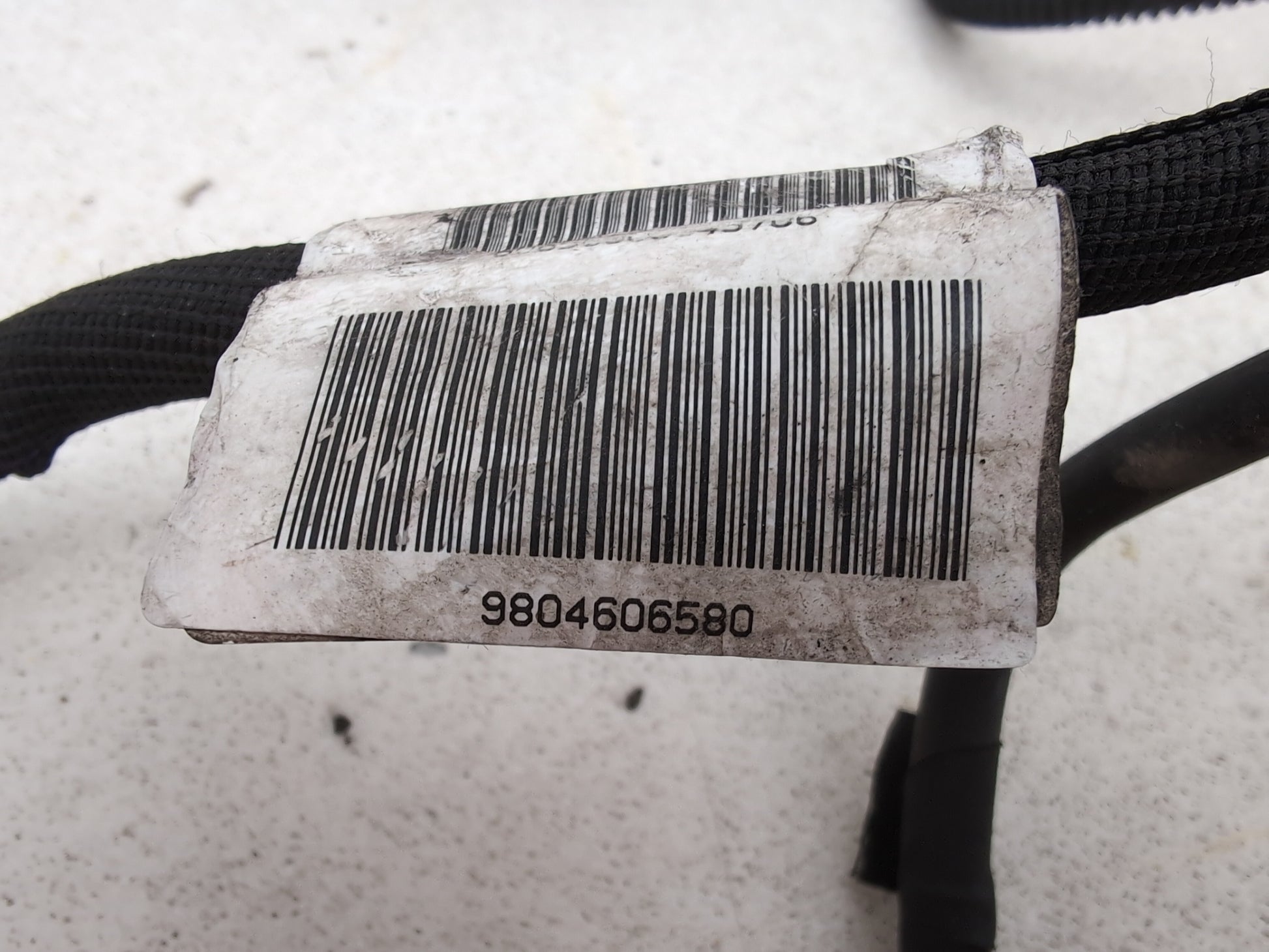 Engine Wiring Harness  4