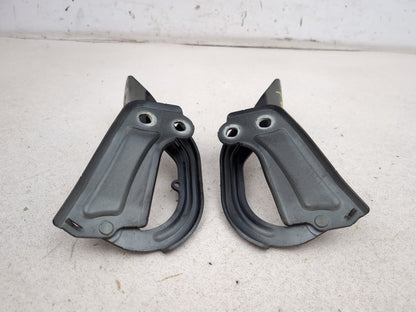 Bonnet Hinges 4