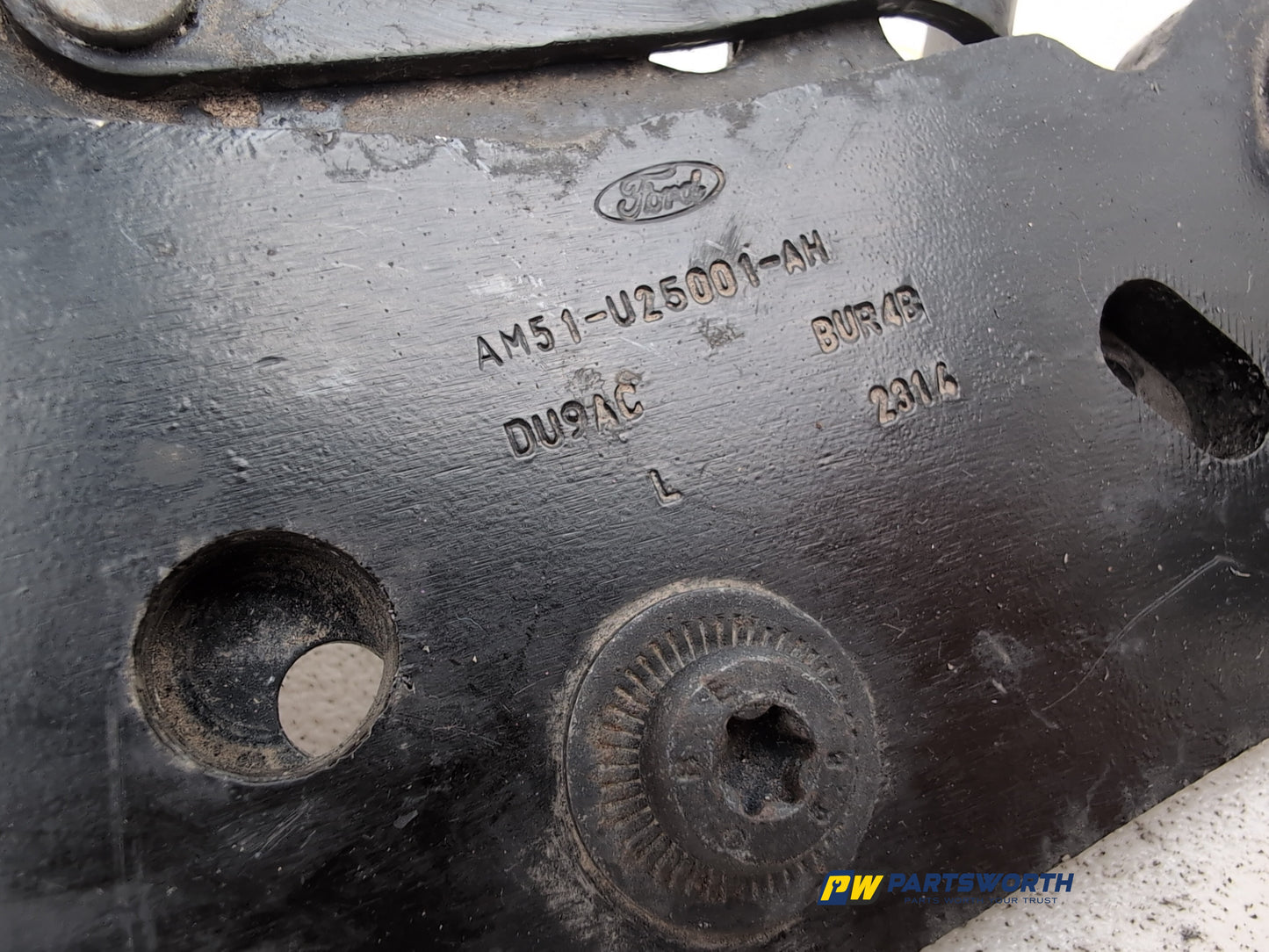 Door Back Hinge Lower LH 4