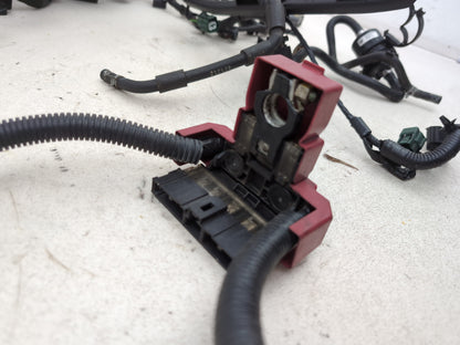 Engine Wiring Harness  4
