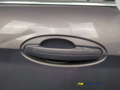 Door Rear RH 4