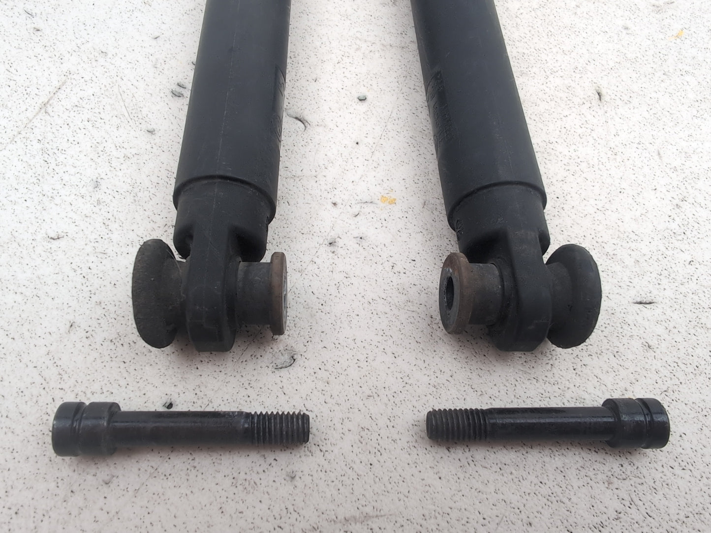 Tailgate Support Strut 5