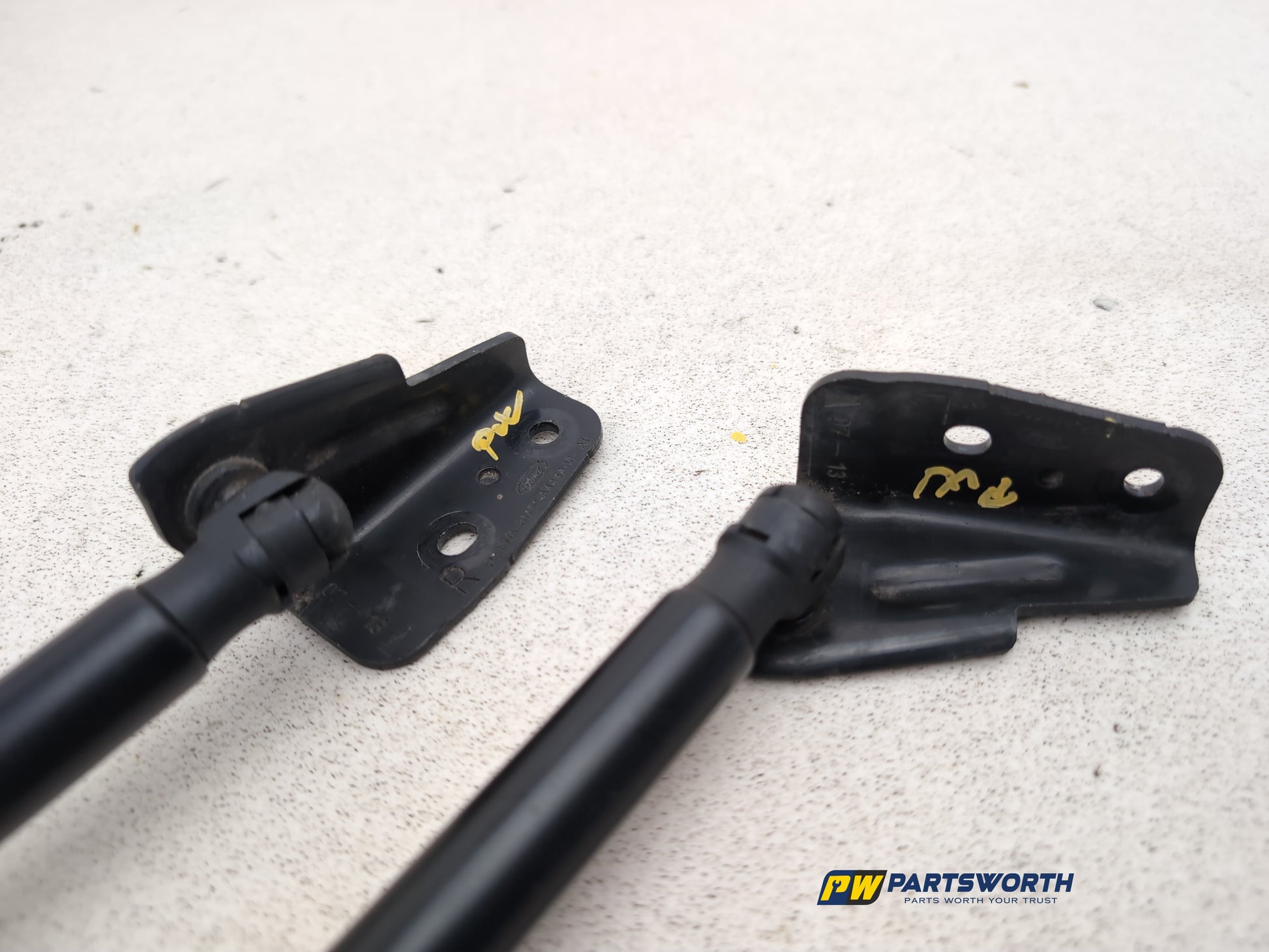Tailgate Support Strut 4