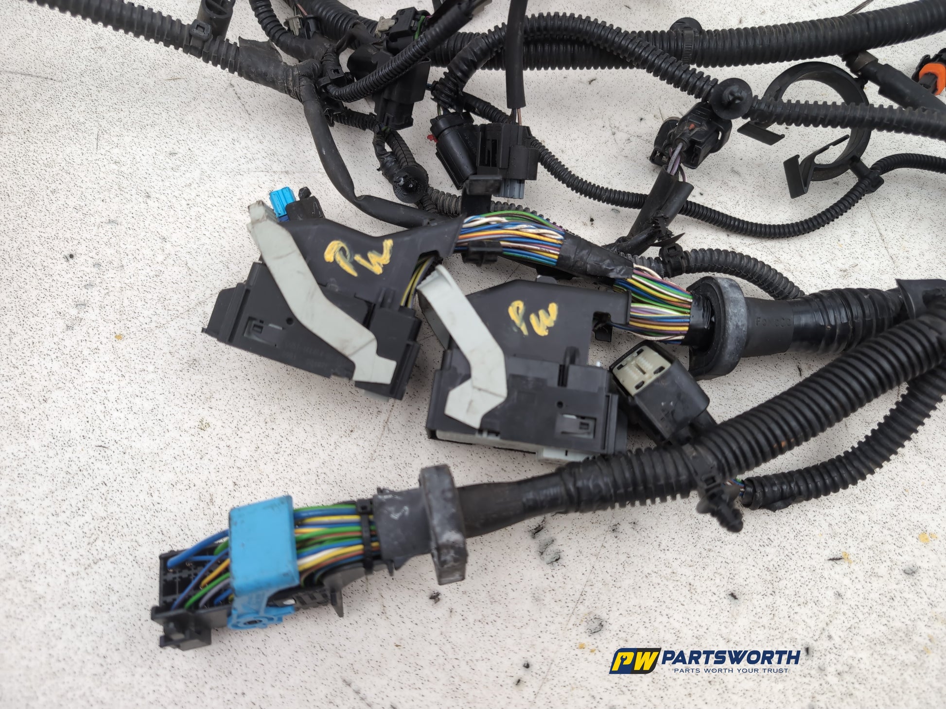 Engine Wiring Harness  4